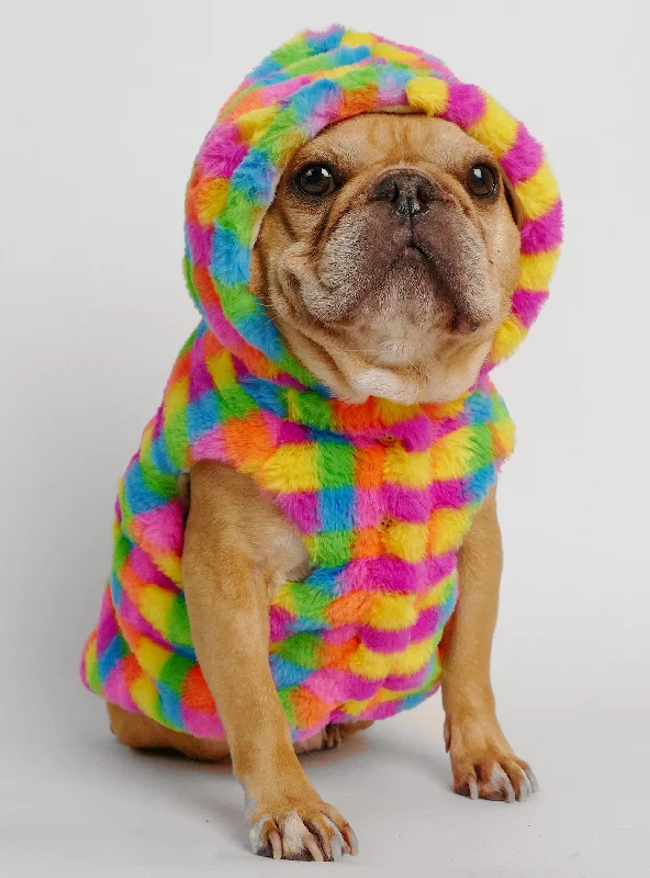 Technicolor Dog Hoodie Compression