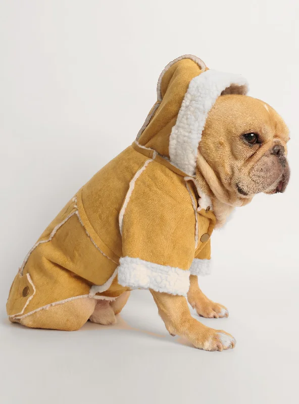 The Dorset Barn Coat Dog Hoodie Dynamic Women's Moto